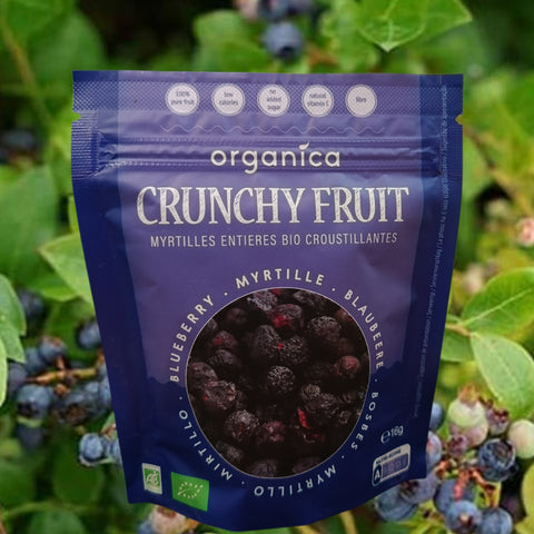 FRUITS LYOPHILISES BIO