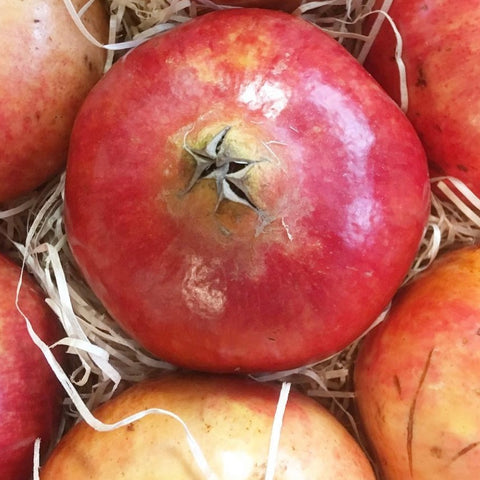 GRENADE FRAICHE BIO DE PROVENCE