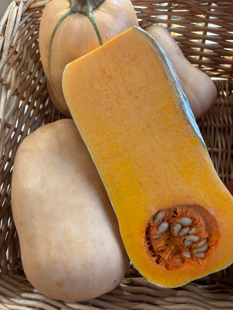 COURGE BUTTERNUT BIO