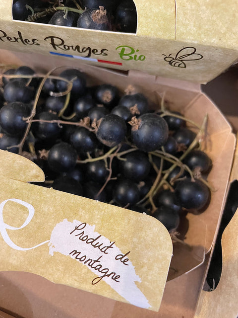 CASSIS BIO