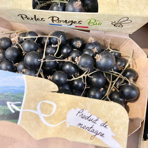 CASSIS BIO