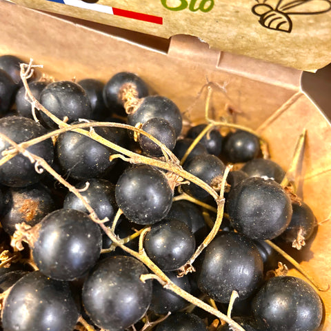 CASSIS BIO