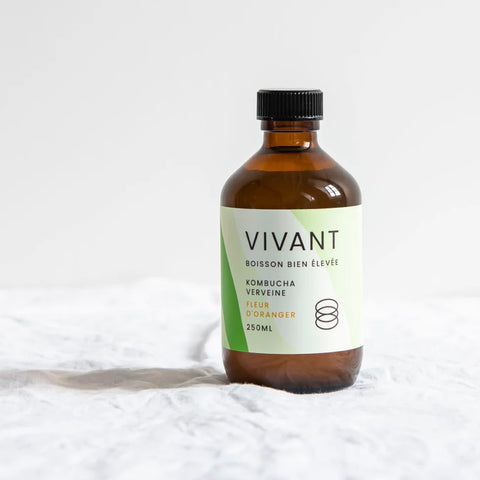 KOMBUCHA VIVANT BIO