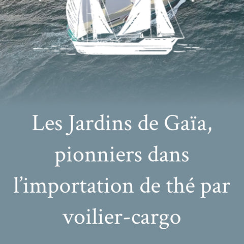 THE NOIR BIO CARAMEL BANANE SARRASIN