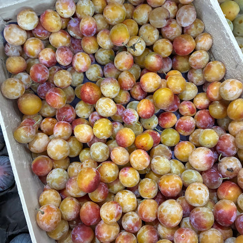 MIRABELLE BIO