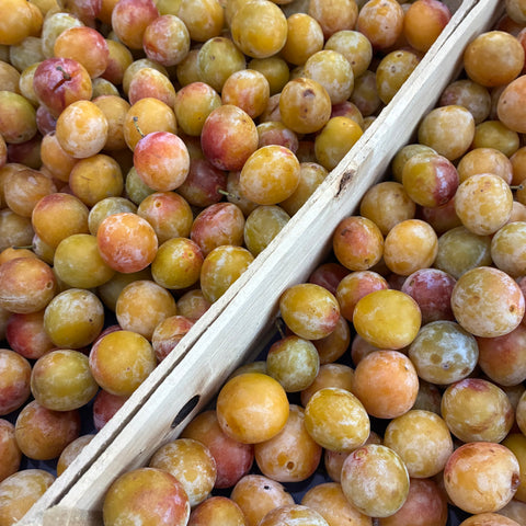MIRABELLE BIO