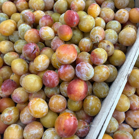 MIRABELLE BIO