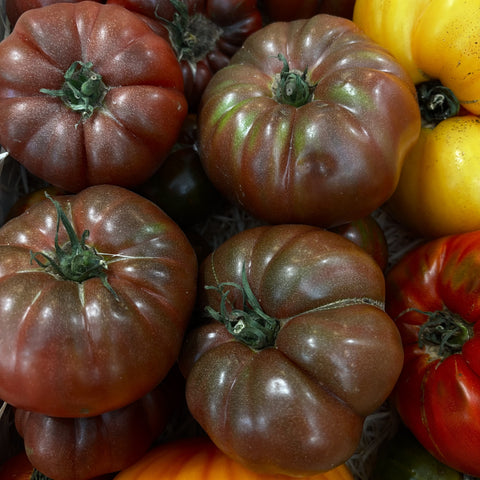 TOMATES ANCIENNES BIO 500g