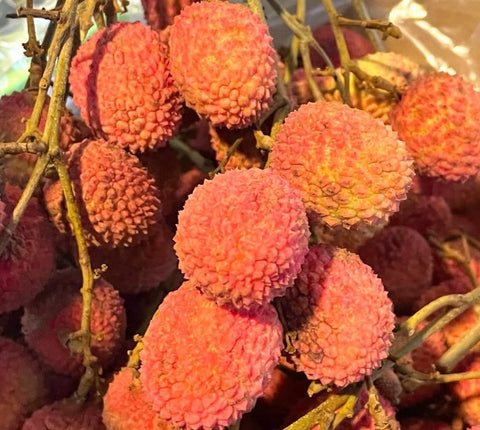LITCHI BIO DE LA REUNION