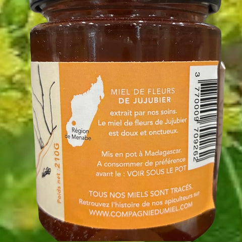 MIEL DE JUJUBIER