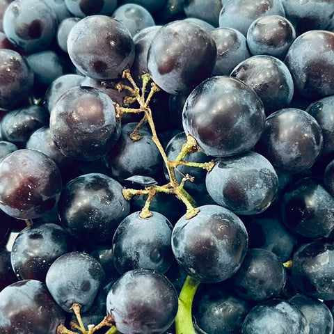 RAISIN NOIR MUSCAT BIO