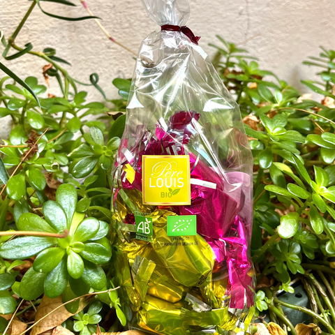 PAPILLOTES POIRE ET FRAMBOISE ENROBÉES DE CHOCOLAT BIO