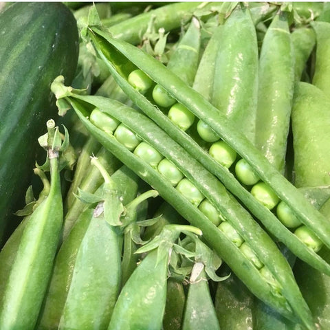 PETIT POIS BIO 300g