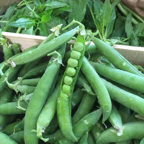 PETIT POIS BIO 300g