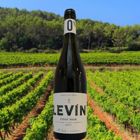 LEVIN 0% - VIN ROUGE SANS ALCOOL BIO