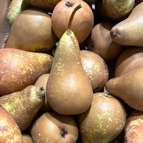 POIRE CONFERENCE BIO