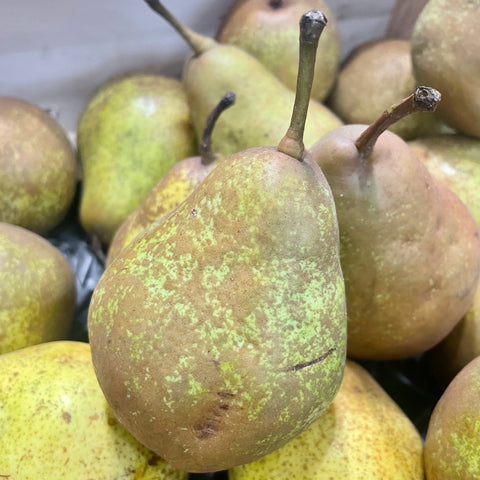 POIRE XENIA BIO