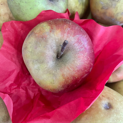 POMME BOSKOOP BIO