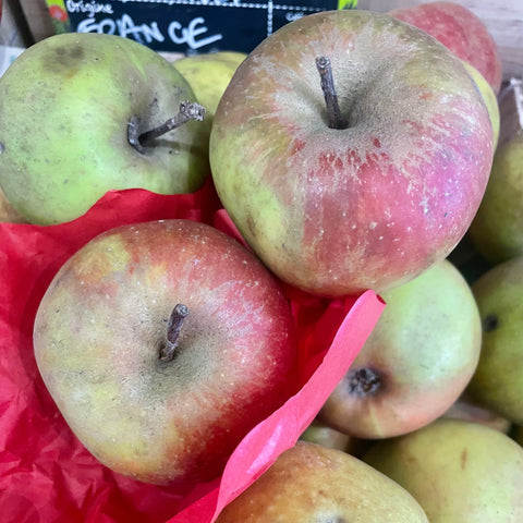 POMME BOSKOOP BIO