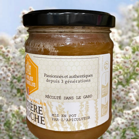 MIEL DE BRUYÈRE BLANCHE D’ARTISAN APICULTEUR RÉCOLTANT