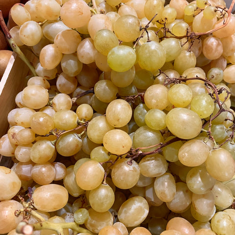 RAISIN BLANC ITALIA BIO