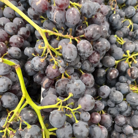 RAISIN NOIR MUSCAT BIO