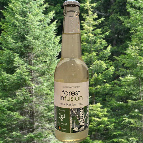 KOMBUCHA FOREST INFUSION