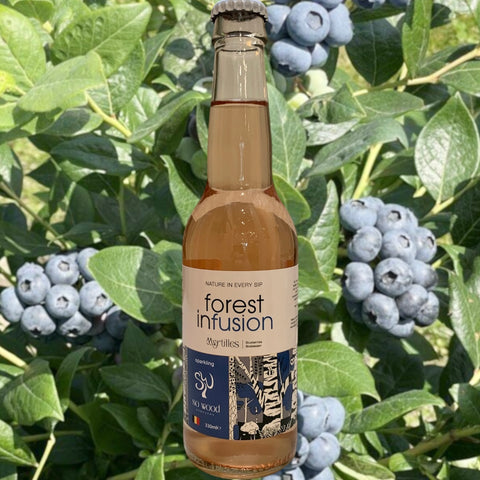 KOMBUCHA FOREST INFUSION