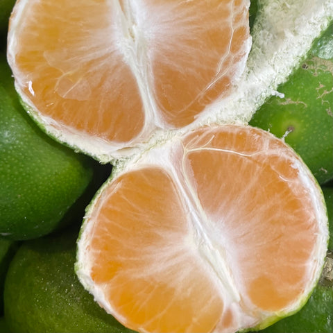 MANDARINE SATSUMA BIO