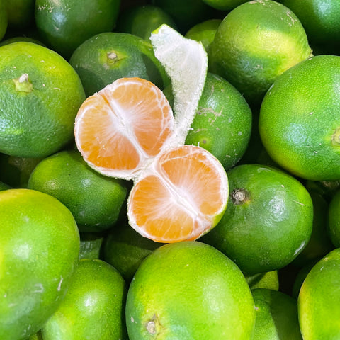 MANDARINE SATSUMA BIO