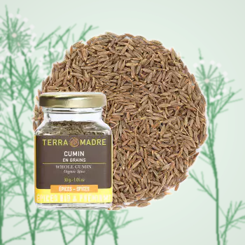 CUMIN BIO EN GRAINES