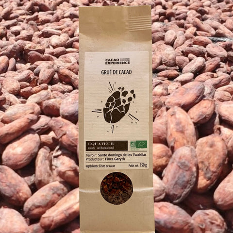 GRUÉ DE CACAO BIO