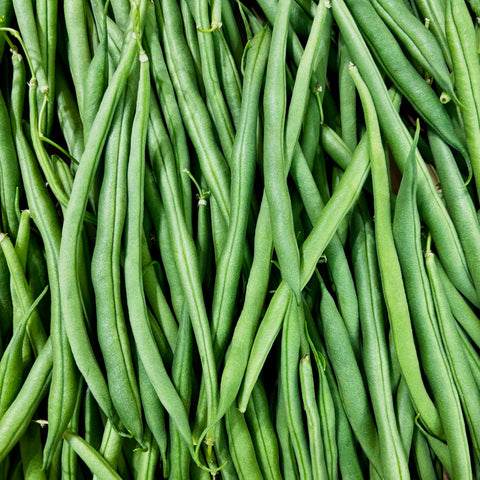 HARICOT VERT BIO 250g