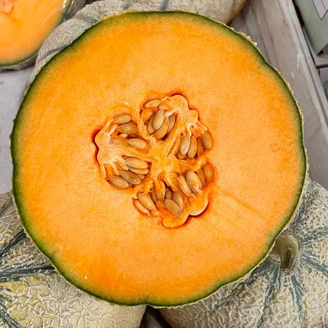 MELON CHARENTAIS BIO