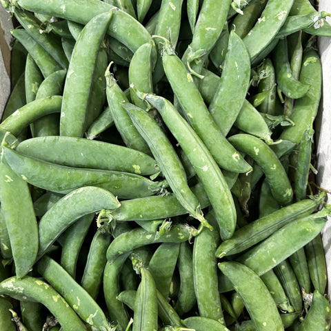 PETIT POIS BIO 300g