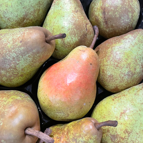 POIRE GUYOT BIO