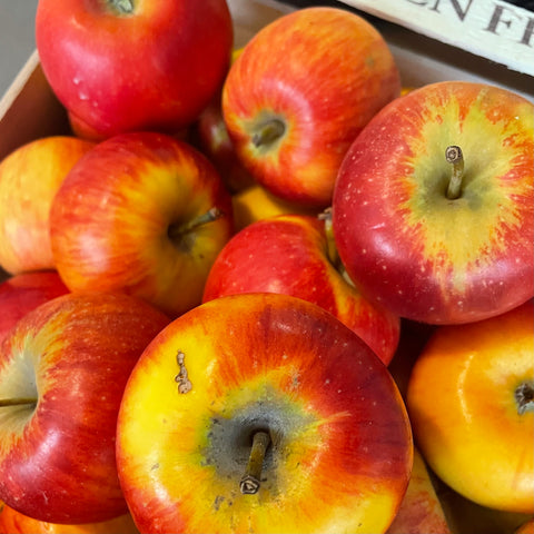 POMME PIROUETTE BIO