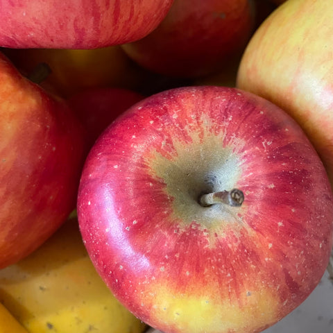 POMME PIROUETTE BIO
