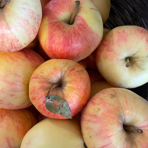 POMME ROYAL GALA BIO